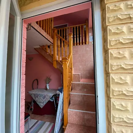 Sud ,,antal I Olga,,