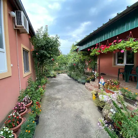 Sud ,,antal I Olga,, Bed & Breakfast Skorenovac