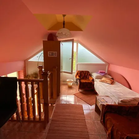 Sud ,,antal I Olga,, * Skorenovac