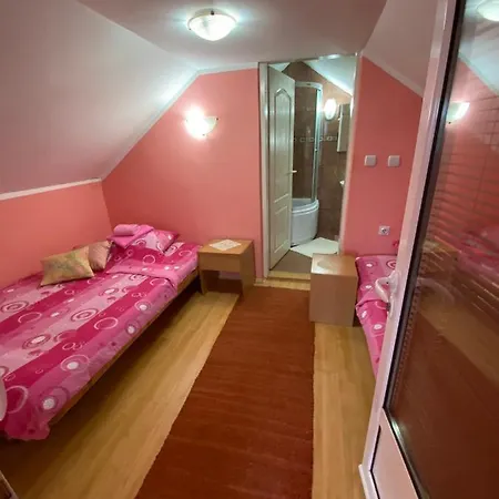 Sud ,,antal I Olga,, Skorenovac