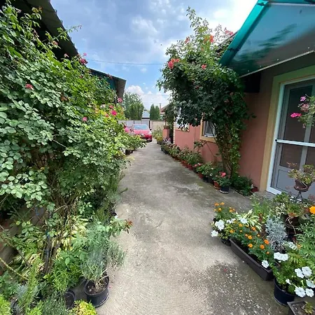 Sud ,,antal I Olga,, Bed & Breakfast