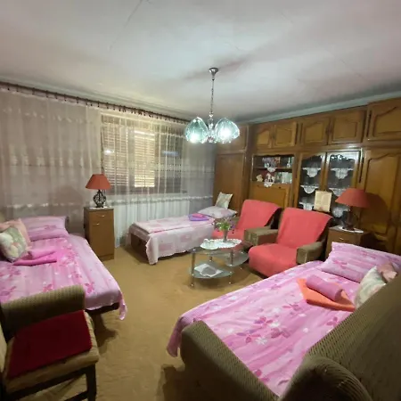 Sud ,,antal I Olga,, Skorenovac