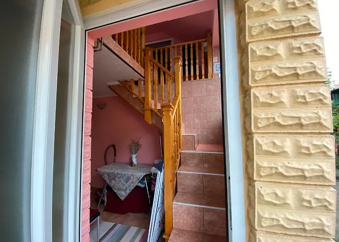 Sud ,,antal I Olga,,