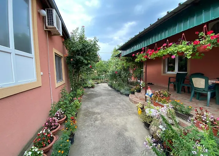 Sud ,,antal I Olga,, Nocleg ze śniadaniem Skorenovac