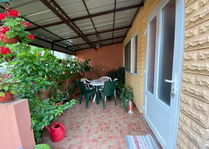 Sud ,,antal I Olga,, *