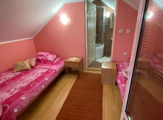 Sud ,,antal I Olga,, Skorenovac