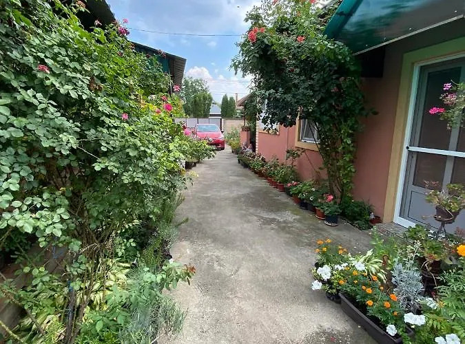 Sud ,,antal I Olga,, Nocleg ze śniadaniem