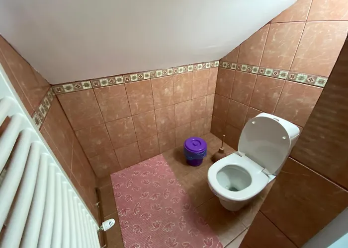 Sud ,,antal I Olga,, Skorenovac