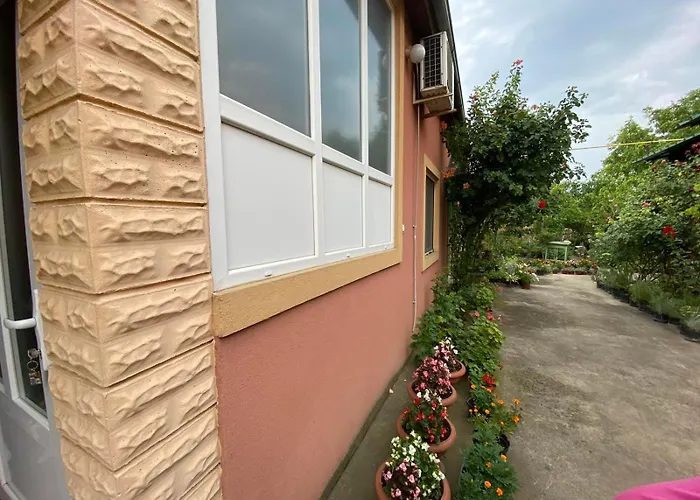 Sud ,,antal I Olga,, Nocleg ze śniadaniem *